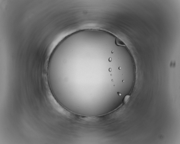 X0000113621392200910021817