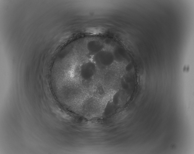 X0000113621393200910021816