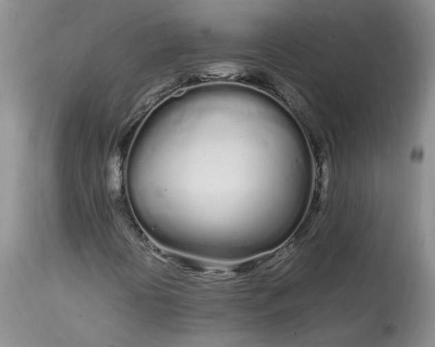 X0000113621394200910021816