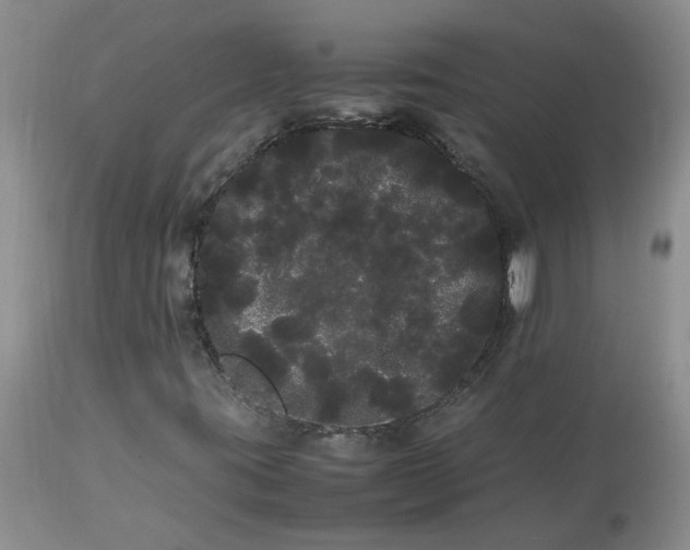 X0000113621395200910021816