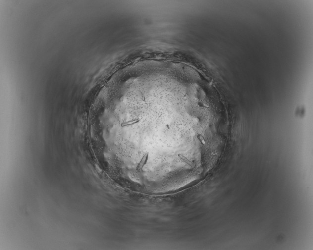 X0000113621397200910021816