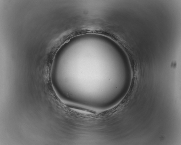 X0000113621398200910021816