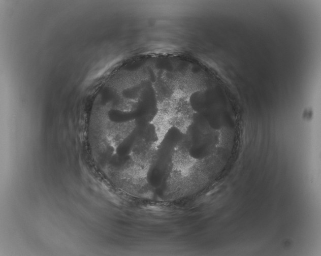 X0000113621399200910021816