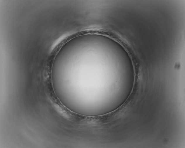 X0000113621400200910021816