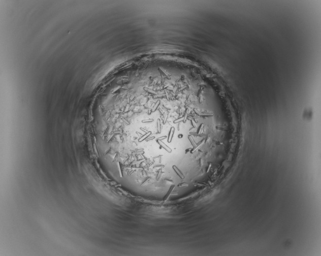 X0000113621401200910021816