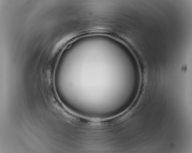 X0000113621402200910021816