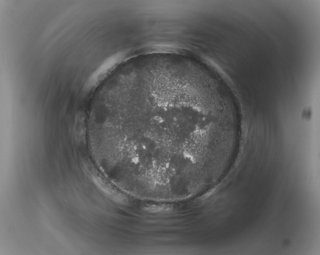 X0000113621403200910021816