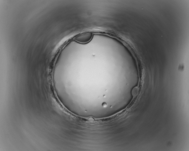 X0000113621404200910021816