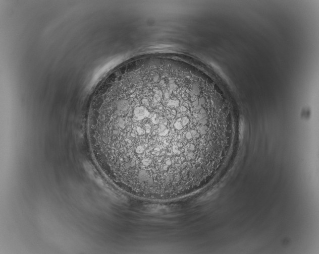 X0000113621405200910021816