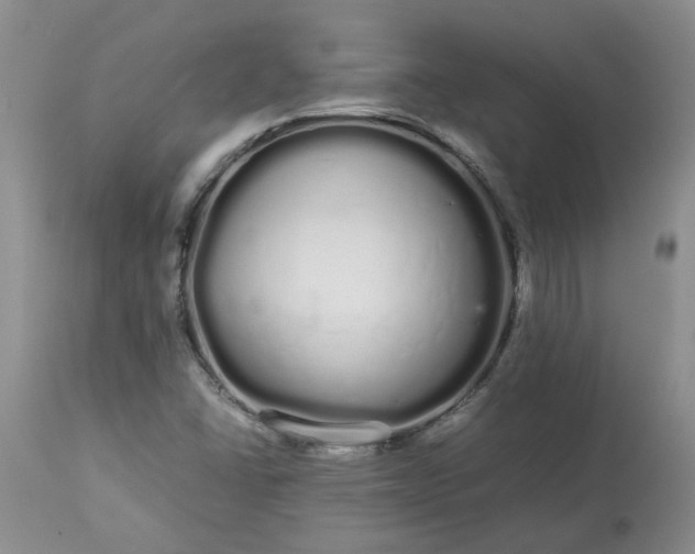 X0000113621406200910021816