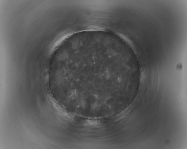 X0000113621407200910021816