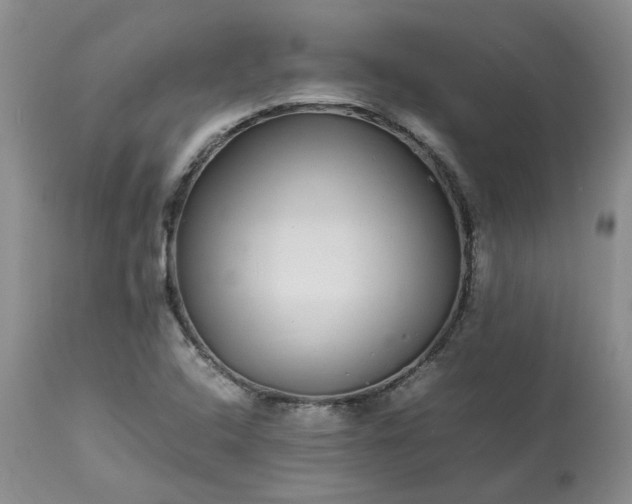 X0000113621408200910021816