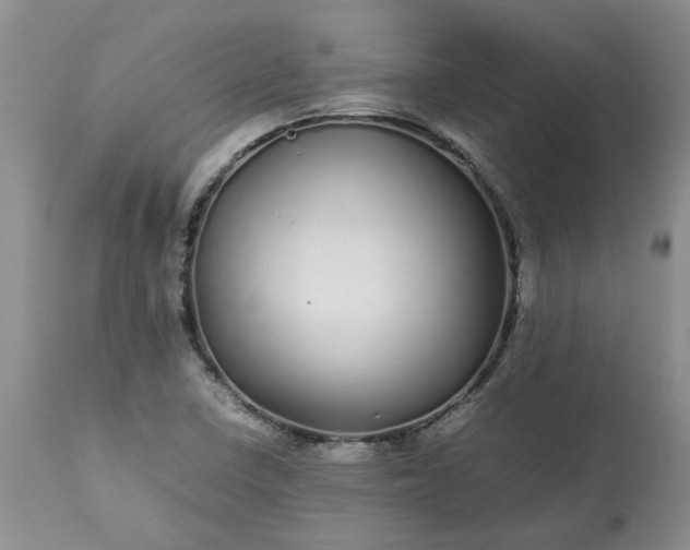 X0000113621410200910021816