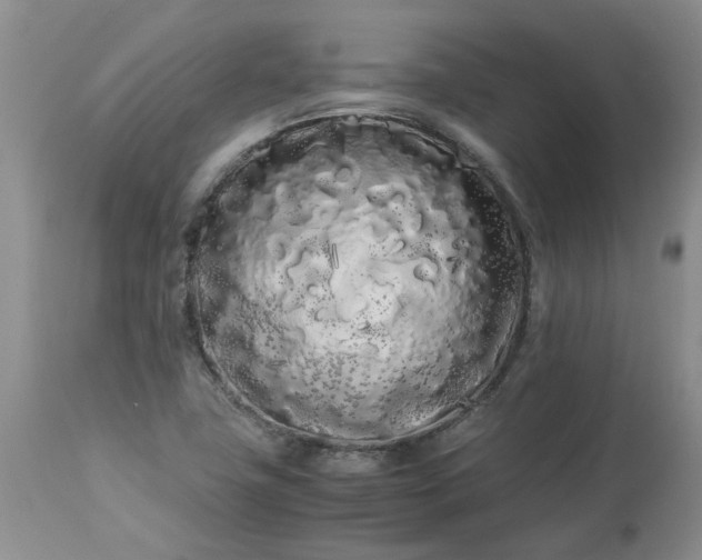 X0000113621411200910021816