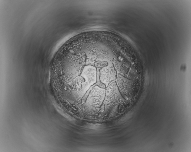 X0000113621413200910021816