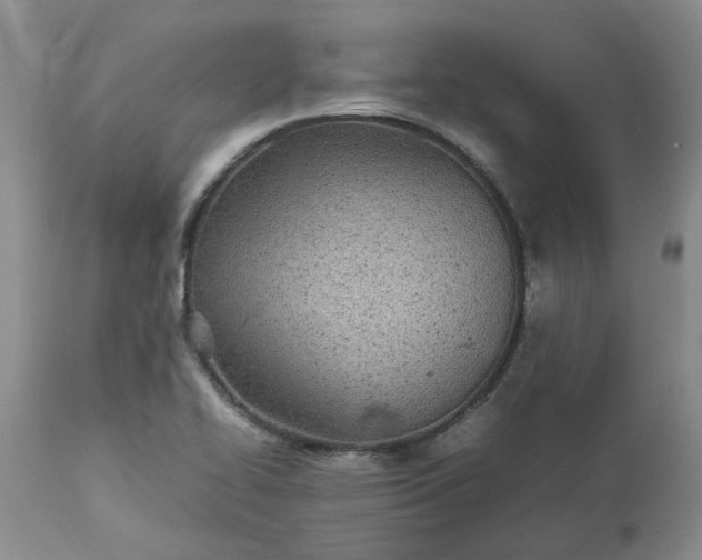 X0000113621414200910021816