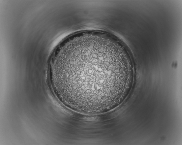 X0000113621415200910021816