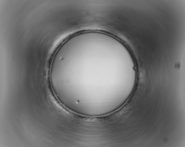 X0000113621416200910021816