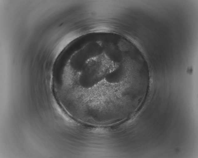 X0000113621418200910021816