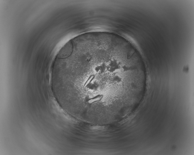 X0000113621419200910021816