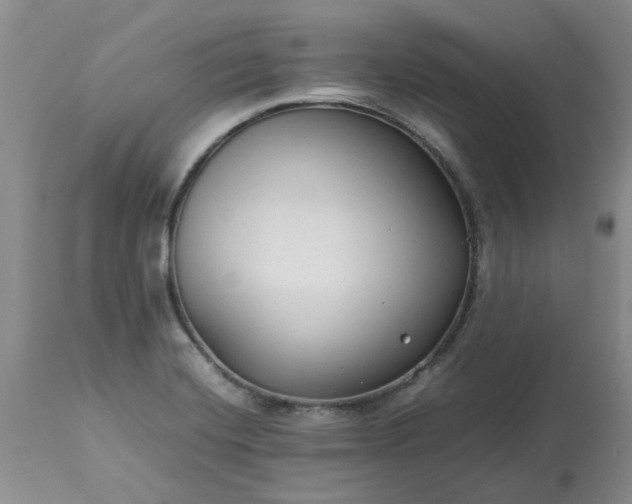 X0000113621420200910021817