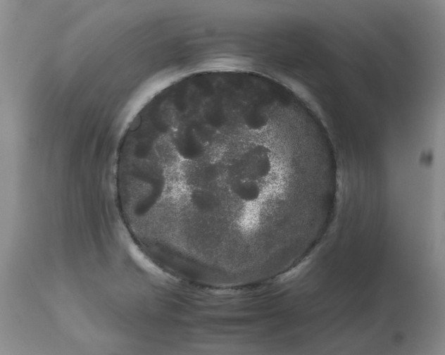 X0000113621421200910021817