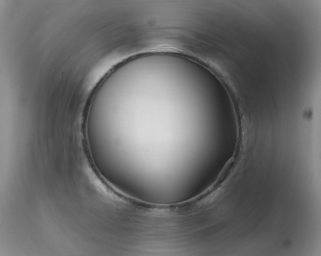 X0000113621422200910021817