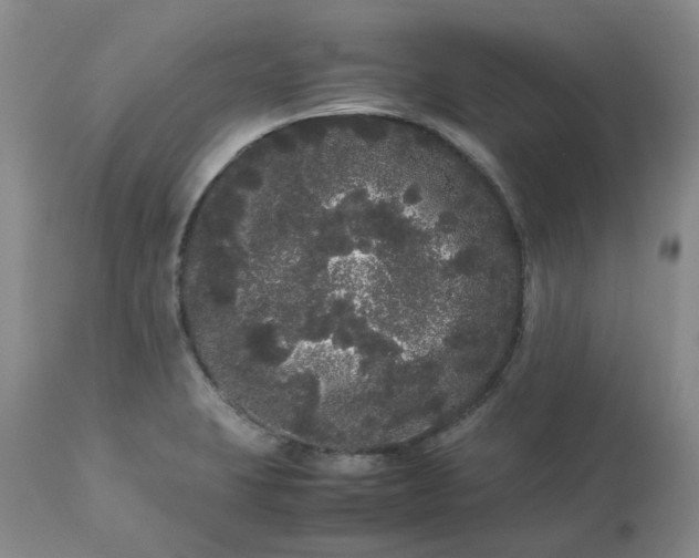 X0000113621423200910021817