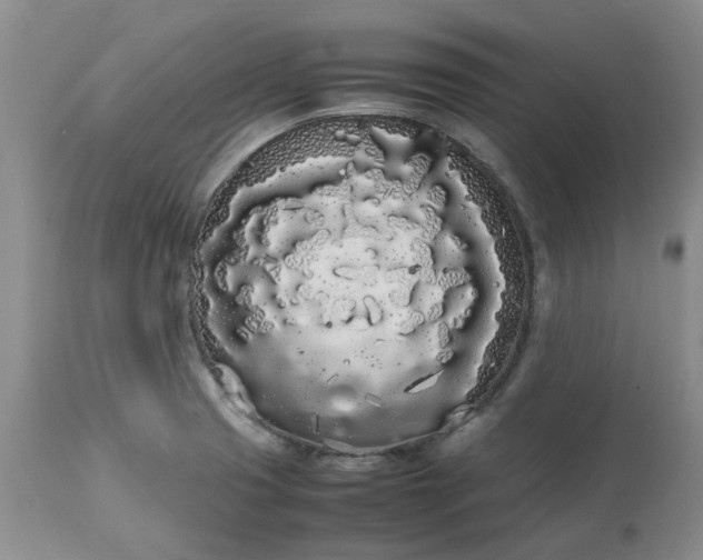 X0000113621425200910021817