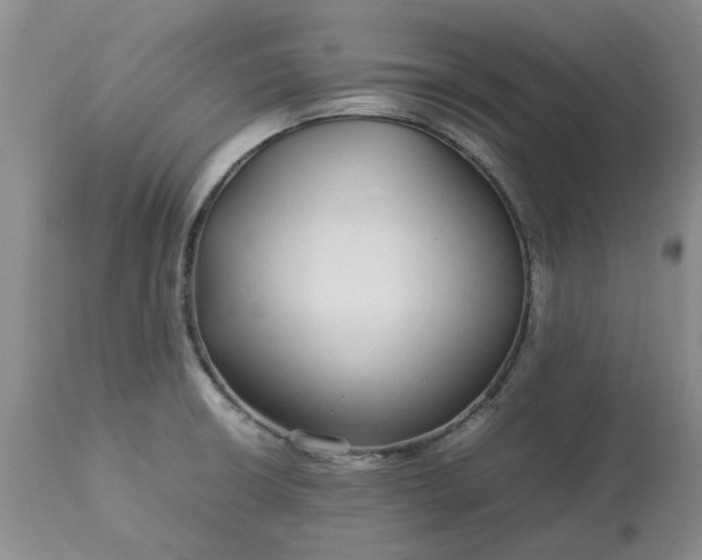 X0000113621426200910021817