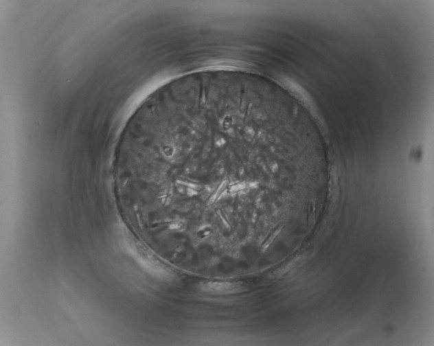 X0000113621427200910021817