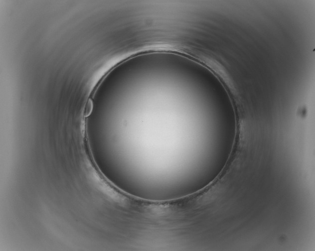 X0000113621428200910021817