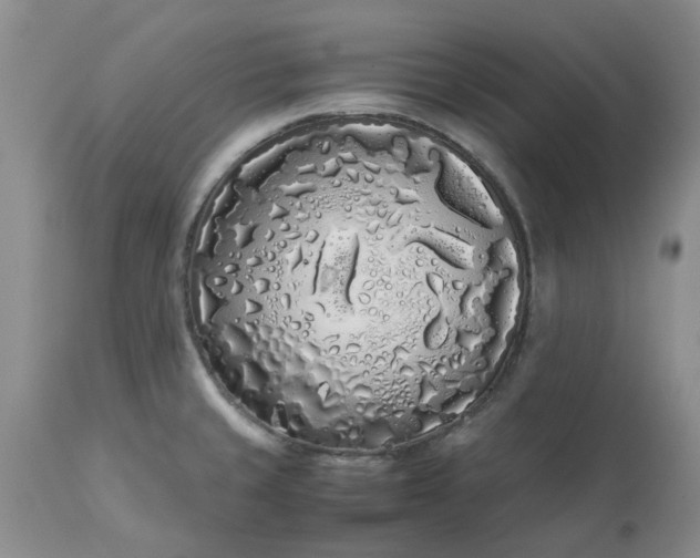 X0000113621429200910021817