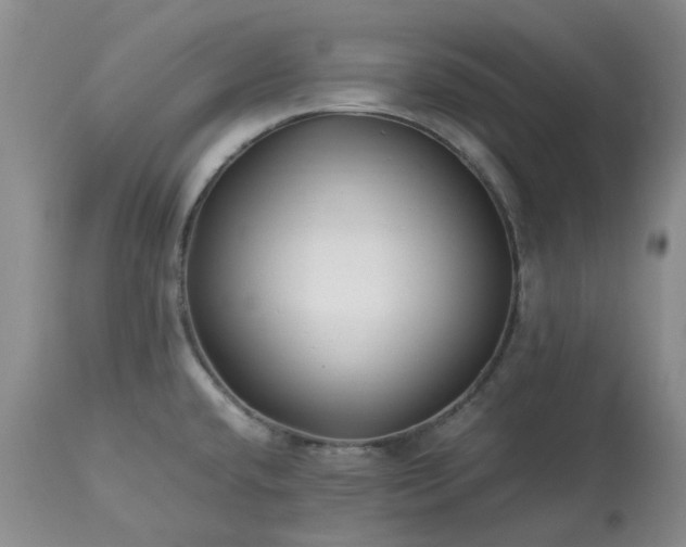 X0000113621432200910021817