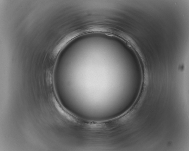 X0000113621433200910021817