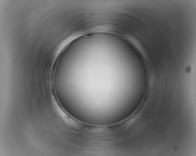 X0000113621434200910021817