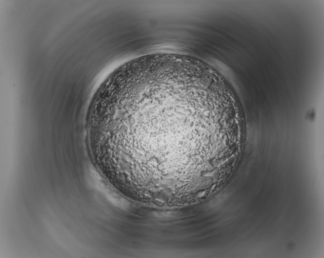 X0000113621435200910021817