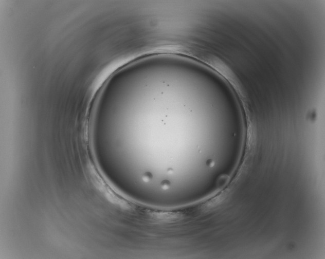 X0000113621436200910021817