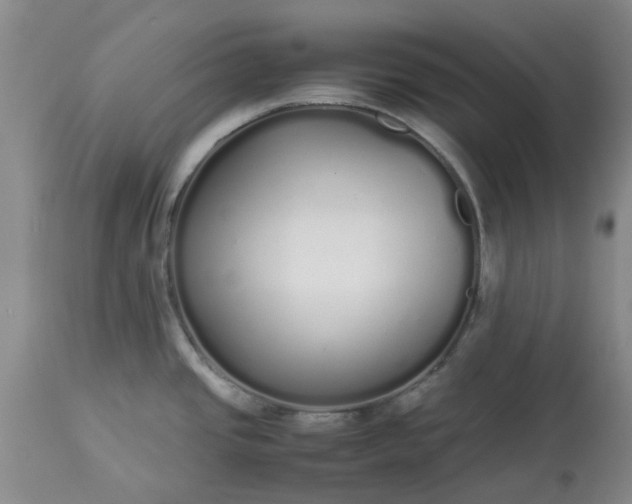 X0000113621437200910021817