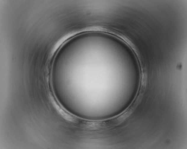 X0000113621438200910021817