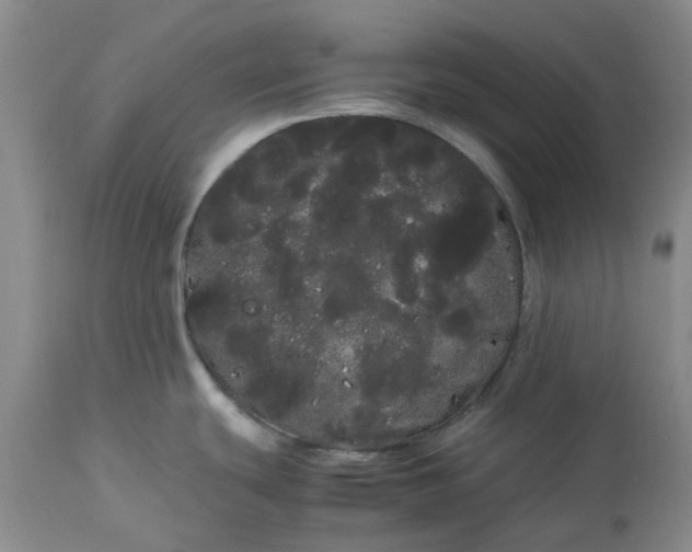 X0000113621439200910021817