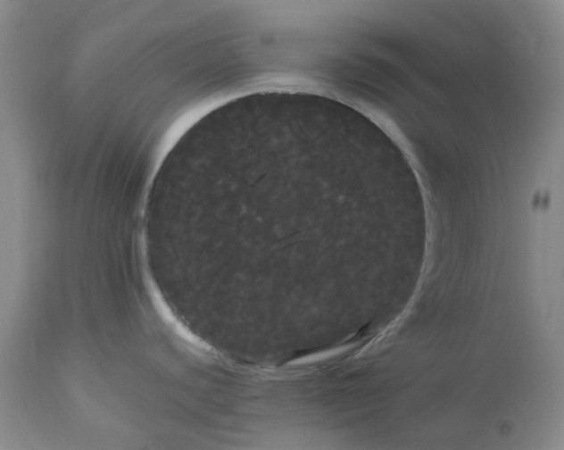 X0000113621440200910021817