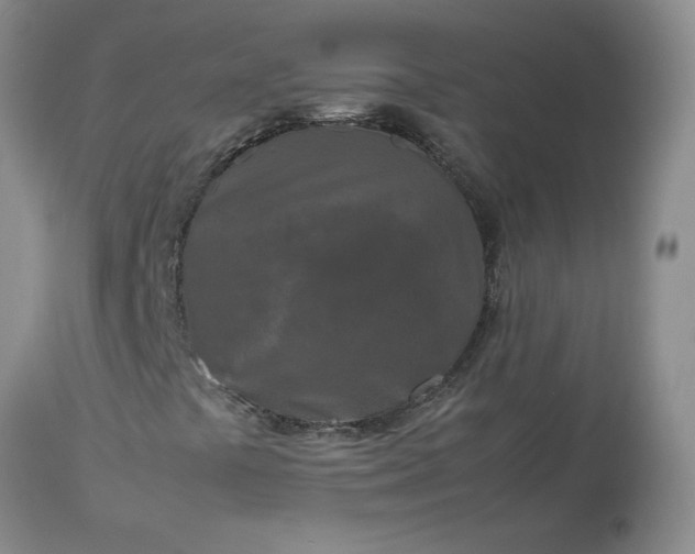 X0000113621441200910021816