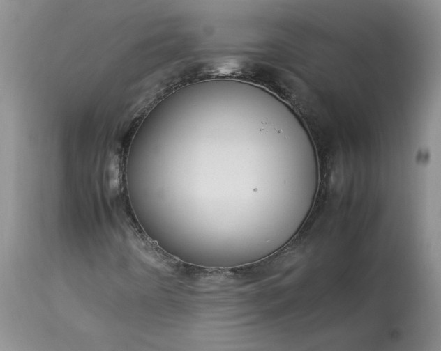 X0000113621442200910021816