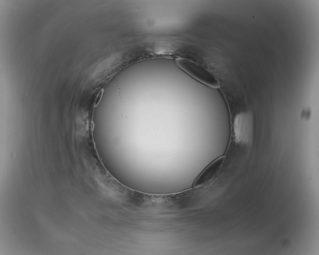 X0000113621443200910021816