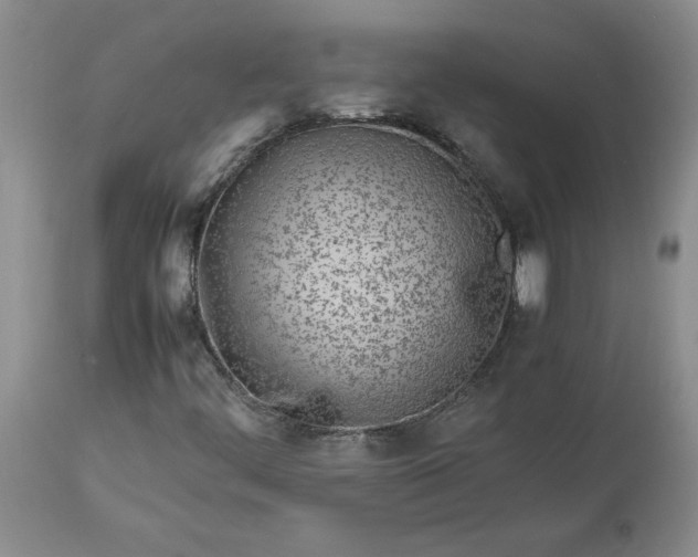 X0000113621444200910021816