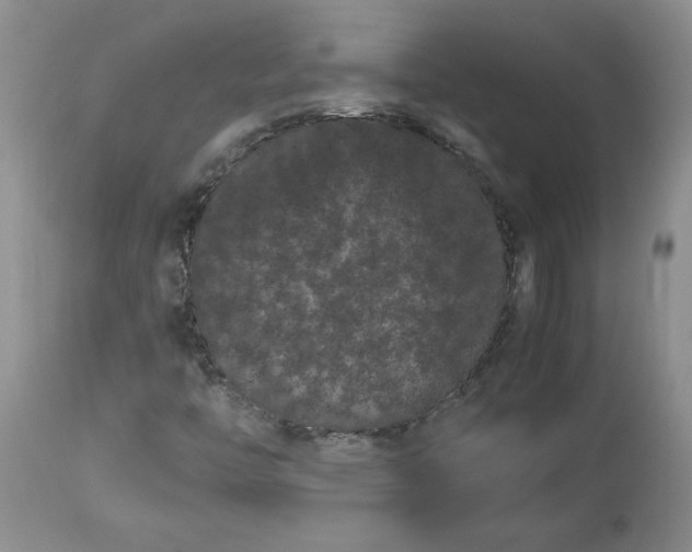 X0000113621446200910021816