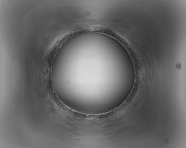 X0000113621447200910021816