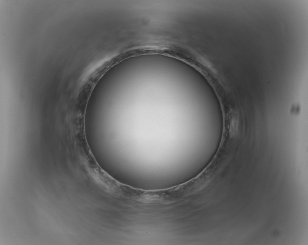 X0000113621448200910021816