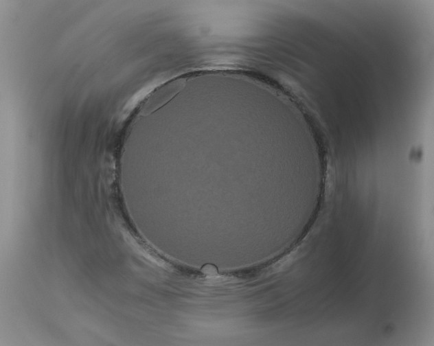 X0000113621449200910021816